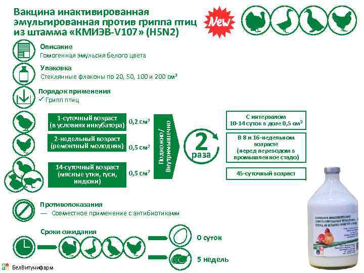 Вакцина инактивированная эмульгированная против гриппа птиц из штамма «КМИЭВ-V 107» (H 5 N 2)