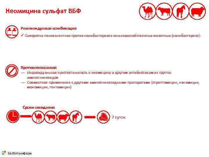 Неомицина сульфат ВБФ Рекомендуемая комбинация ü Сыворотка поливалентная против колибактериоза сельскохозяйственных животных (колибактериоз) Противопоказания
