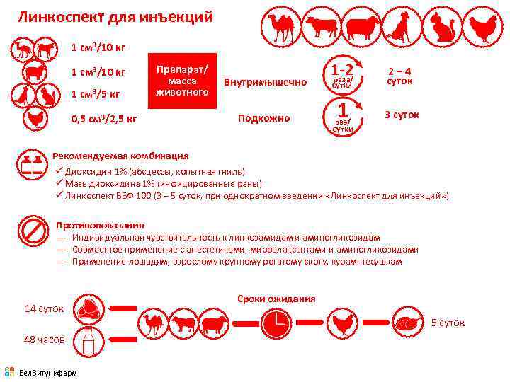 Линкоспект для инъекций 1 см 3/10 кг 1 см 3/5 кг 0, 5 см