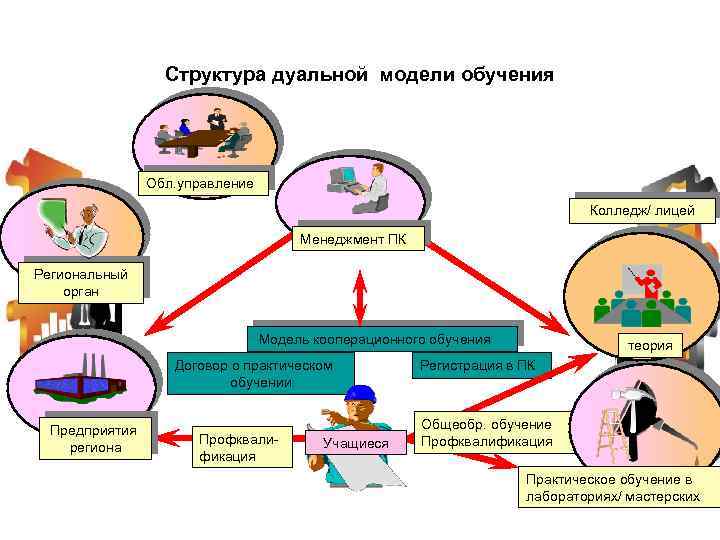 Структура дуальной модели обучения Обл. управление Колледж/ лицей Менеджмент ПК Региональный орган Модель кооперационного