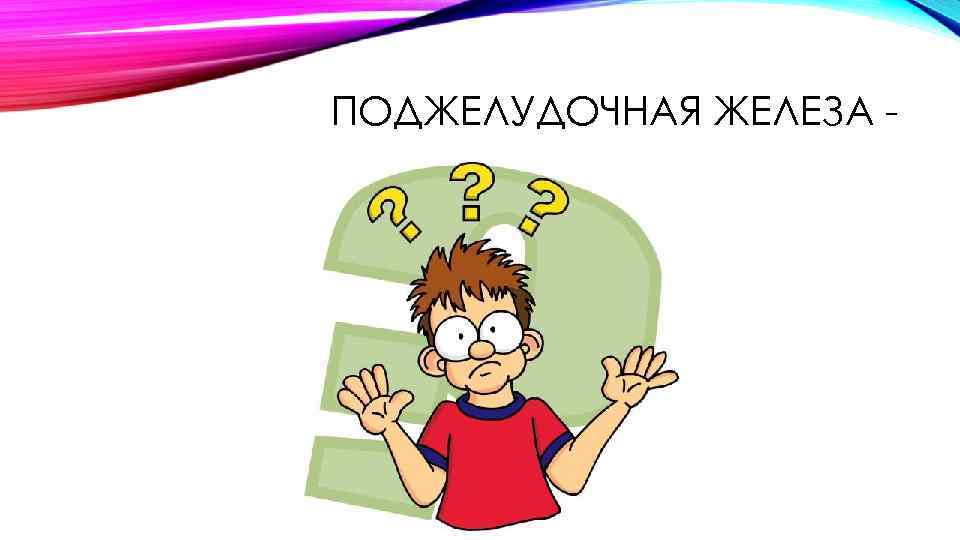 ПОДЖЕЛУДОЧНАЯ ЖЕЛЕЗА ? 