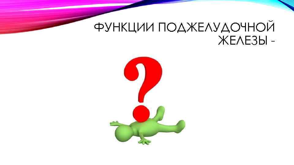 ФУНКЦИИ ПОДЖЕЛУДОЧНОЙ ЖЕЛЕЗЫ 