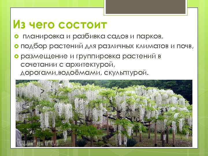 Из чего состоит планировка и разбивка садов и парков, подбор растений для различных климатов