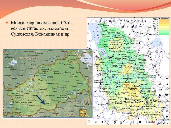 С какими странами граничит псковская область карта