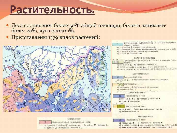 Растительность. Леса составляют более 50% общей площади, болота занимают более 20%, луга около 1%.