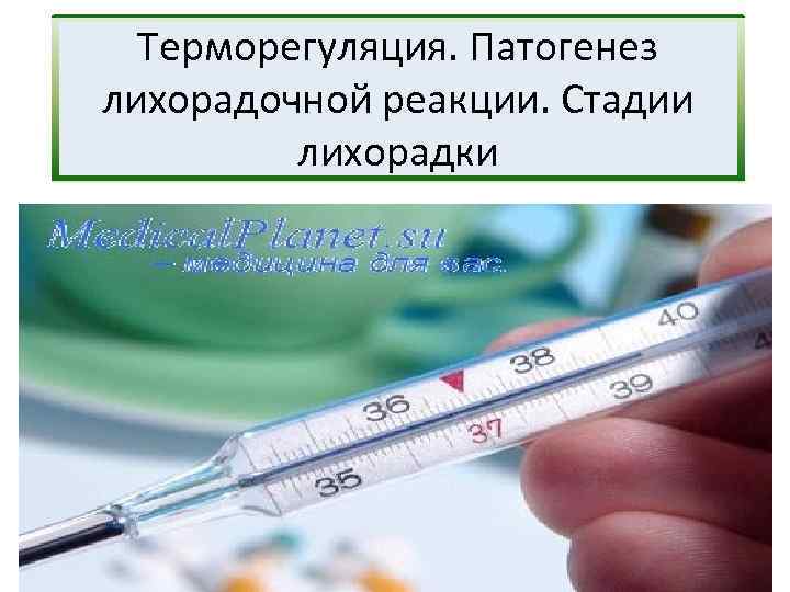 Терморегуляция. Патогенез лихорадочной реакции. Стадии лихорадки 