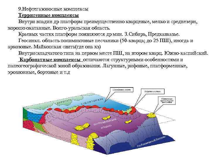 9. Нефтегазоносные комплексы Терригенные комплексы Внутри впадин др платформ преимущественно кварцевые, мелко и среднезерн,