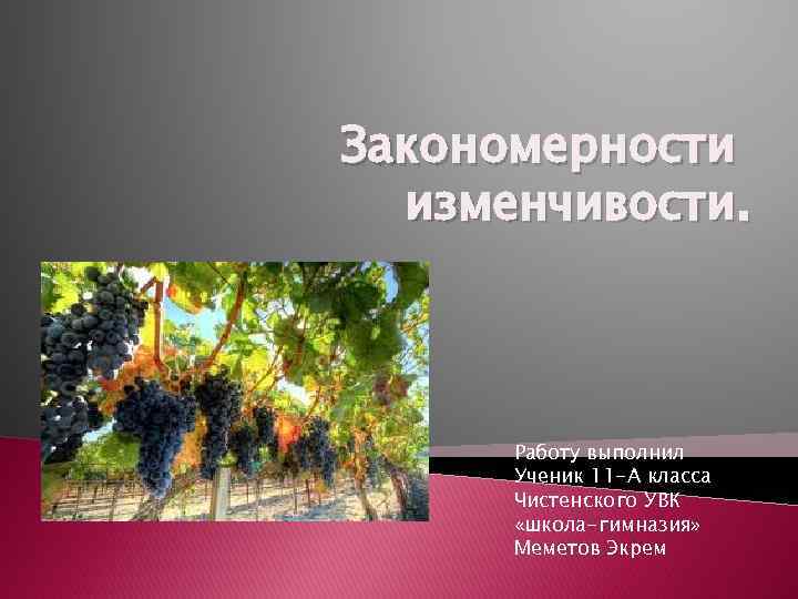 Закономерности изменчивости. Работу выполнил Ученик 11 -А класса Чистенского УВК «школа-гимназия» Меметов Экрем 