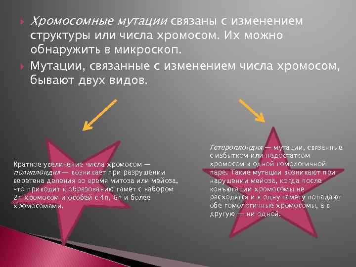  Хромосомные мутации связаны с изменением структуры или числа хромосом. Их можно обнаружить в