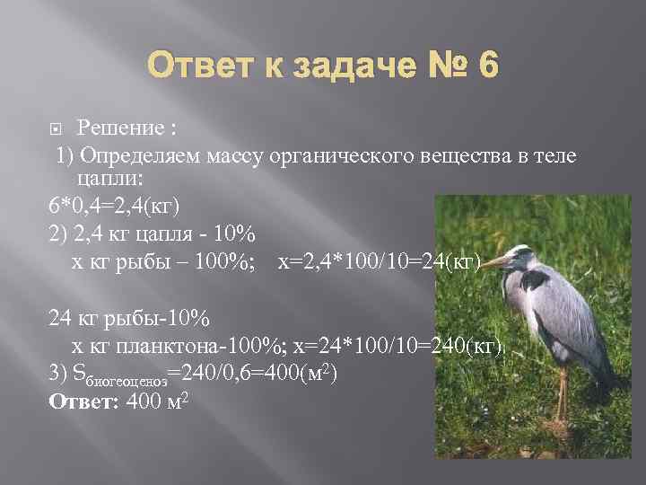 Ответ к задаче № 6 Решение : 1) Определяем массу органического вещества в теле