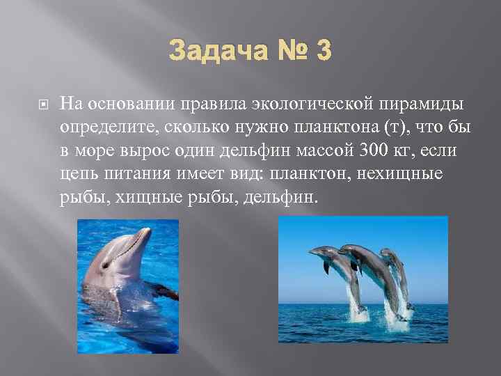 Задача № 3 На основании правила экологической пирамиды определите, сколько нужно планктона (т), что