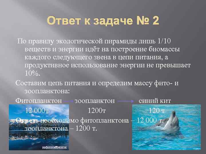 Ответ к задаче № 2 По правилу экологической пирамиды лишь 1/10 веществ и энергии