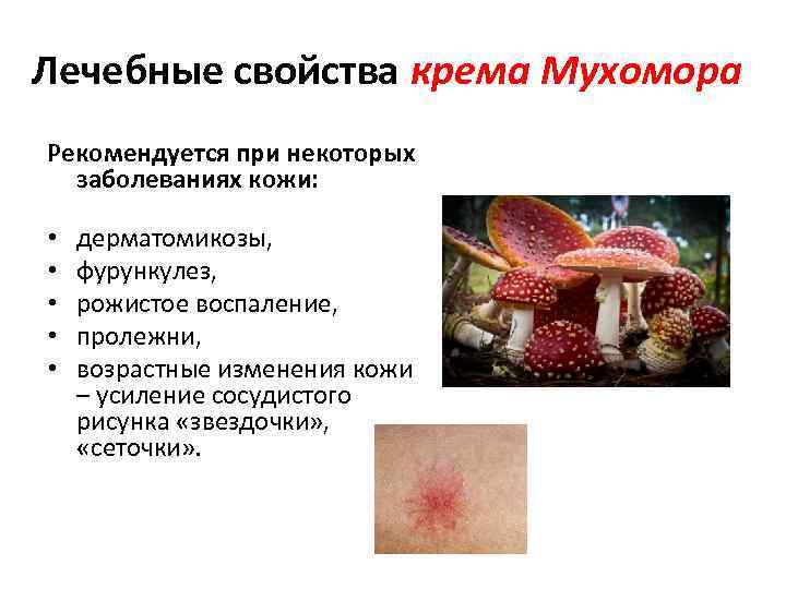 Лечебные свойства крема Мухомора Рекомендуется при некоторых заболеваниях кожи: • • • дерматомикозы, фурункулез,