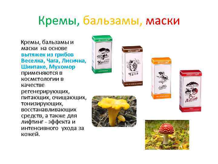Кремы, бальзамы, маски Кремы, бальзамы и маски на основе вытяжек из грибов Веселка, Чага,