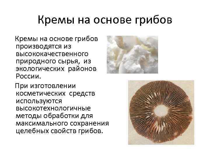 Кремы на основе грибов производятся из высококачественного природного сырья, из экологических районов России. При