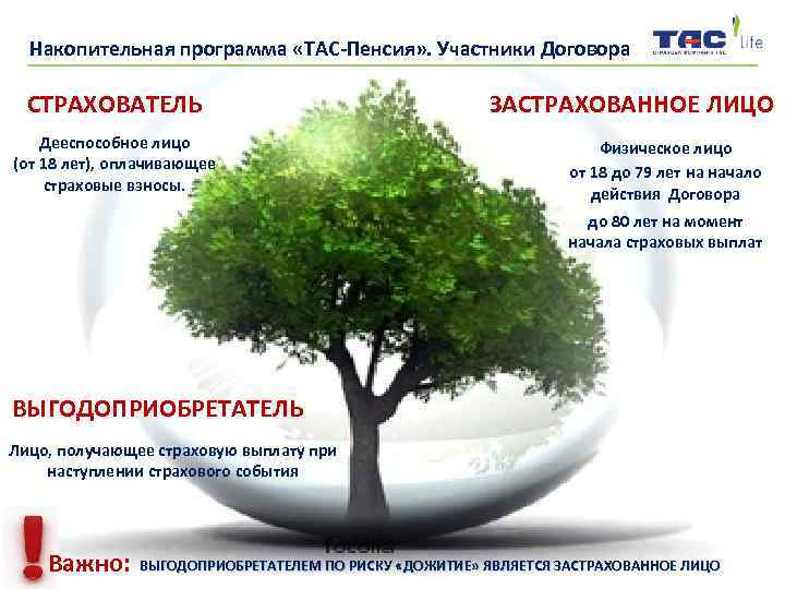 Накопительная программа «ТАС-Пенсия» . Участники Договора СТРАХОВАТЕЛЬ Дееспособное лицо (от 18 лет), оплачивающее страховые