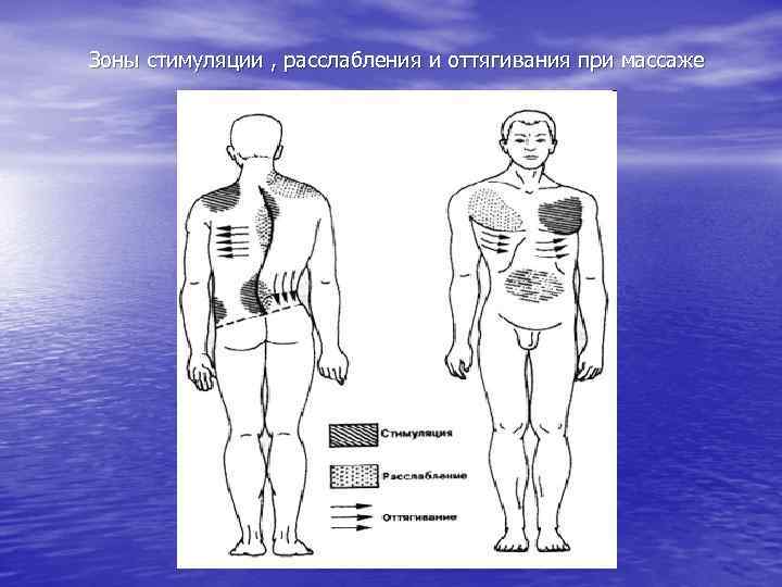 Зоны стимуляции , расслабления и оттягивания при массаже 