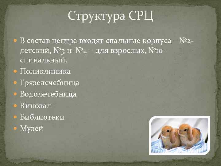 Структура СРЦ В состав центра входят спальные корпуса – № 2 - детский, №