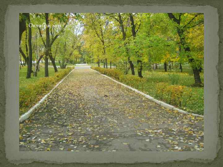 Октябрь 2011 
