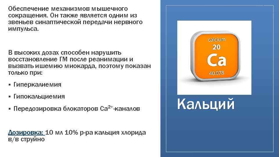 Обеспечение механизмов мышечного сокращения. Он также является одним из звеньев синаптической передачи нервного импульса.