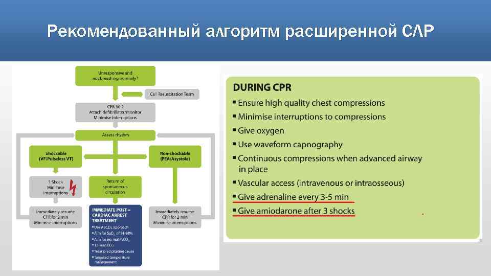Рекомендованный алгоритм расширенной СЛР 