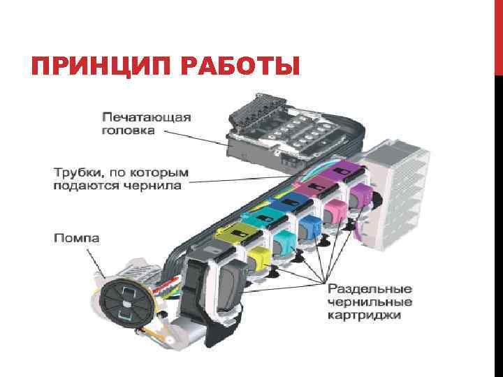 ПРИНЦИП РАБОТЫ 