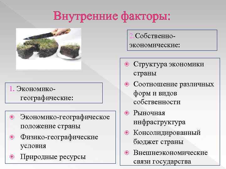 Внутренние факторы: 2. Собственноэкономические: 1. Экономикогеографические: Экономико-географическое положение страны Физико-географические условия Природные ресурсы Структура