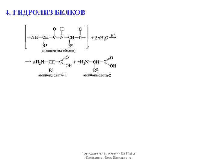 4. ГИДРОЛИЗ БЕЛКОВ Преподаватель по химии Dis. TTutor Быстрицкая Вера Васильевна 