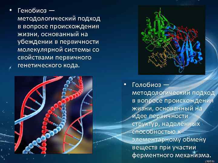  • Генобиоз — методологический подход в вопросе происхождения жизни, основанный на убеждении в