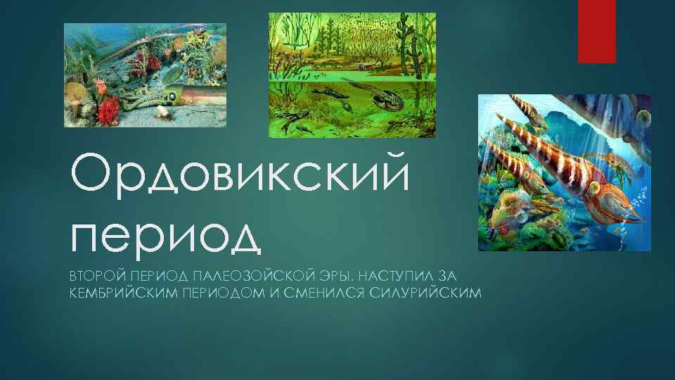 Ордовикский период ВТОРОЙ ПЕРИОД ПАЛЕОЗОЙСКОЙ ЭРЫ. НАСТУПИЛ ЗА КЕМБРИЙСКИМ ПЕРИОДОМ И СМЕНИЛСЯ СИЛУРИЙСКИМ 