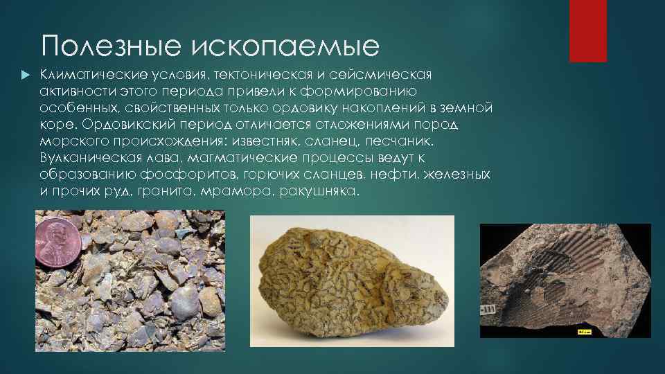 Полезные ископаемые Климатические условия, тектоническая и сейсмическая активности этого периода привели к формированию особенных,