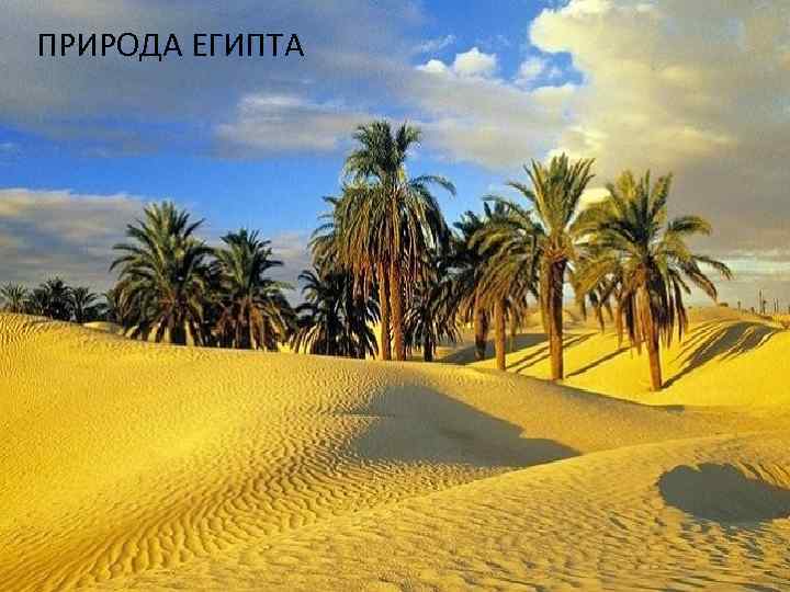 ПРИРОДА ЕГИПТА 