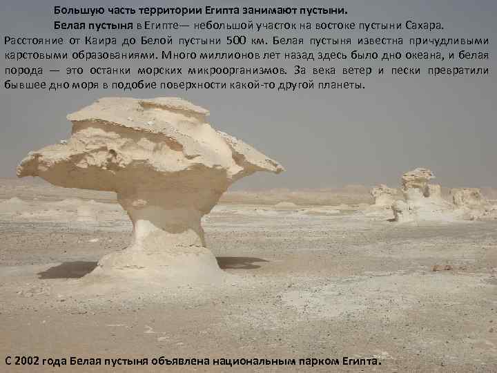 Большую часть территории Египта занимают пустыни. Белая пустыня в Египте— небольшой участок на востоке