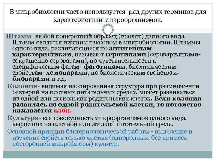 В микробиологии часто используется ряд других терминов для характеристики микроорганизмов. Штамм- любой конкретный образец