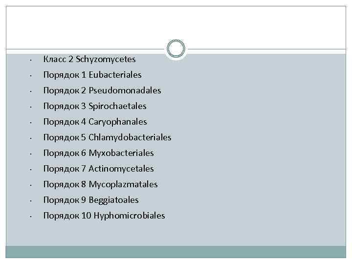  • Класс 2 Schyzomycetes • Порядок 1 Eubacteriales • Порядок 2 Pseudomonadales •