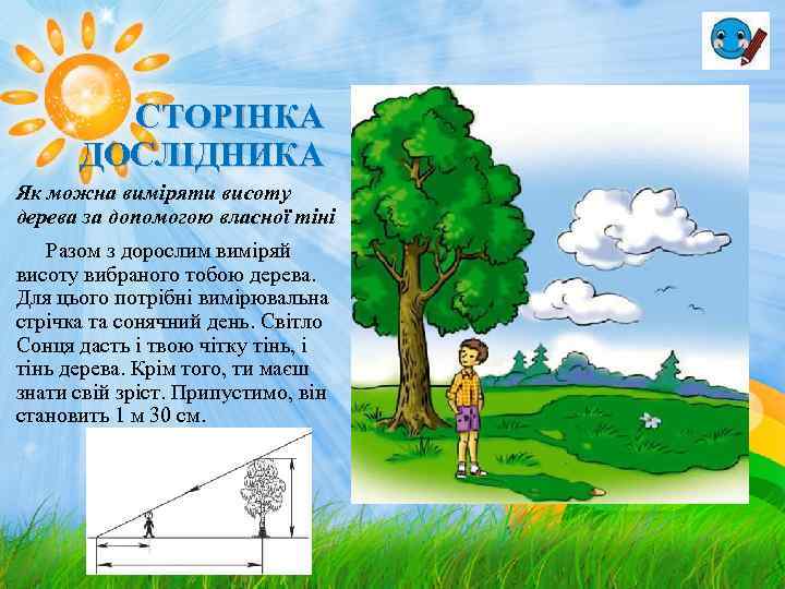 СТОРІНКА ДОСЛІДНИКА Як можна виміряти висоту дерева за допомогою власної тіні Разом з дорослим
