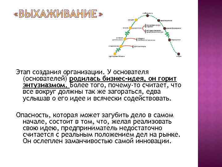 Этап создания организации. У основателя (основателей) родилась бизнес-идея, он горит энтузиазмом. Более того, почему-то