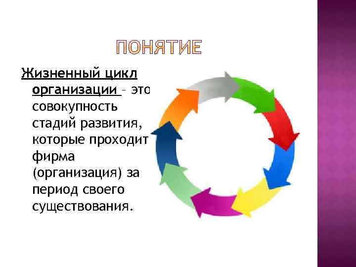 Жизненный цикл организации – это совокупность стадий развития, которые проходит фирма (организация) за период