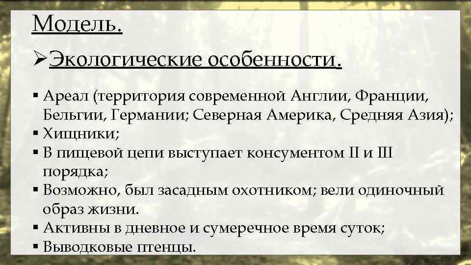 Модель. ØЭкологические особенности. § Ареал (территория современной Англии, Франции, Бельгии, Германии; Северная Америка, Средняя