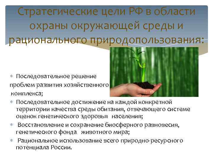 Стратегические цели РФ в области охраны окружающей среды и рационального природопользования: Последовательное решение проблем