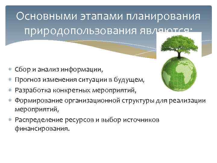 План мероприятий по рациональному использованию объектов растительного мира