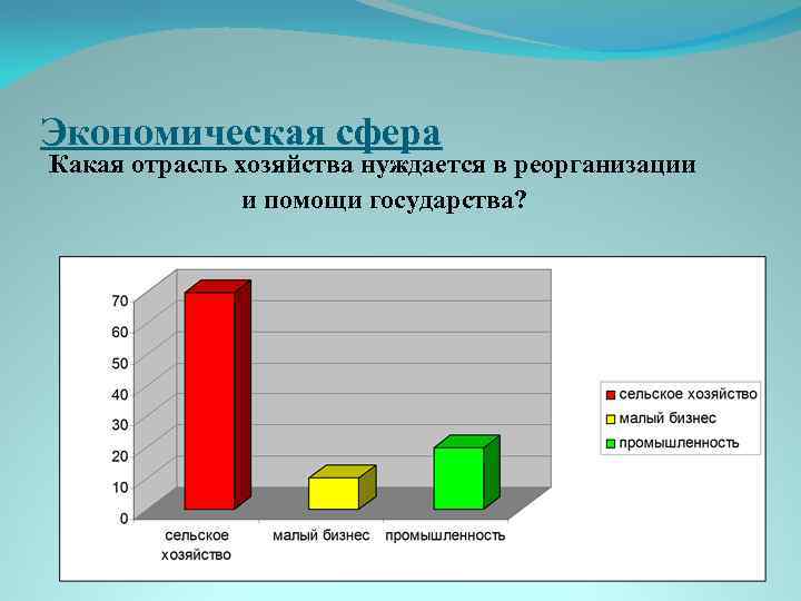 Экономическая сфера Какая отрасль хозяйства нуждается в реорганизации и помощи государства? 