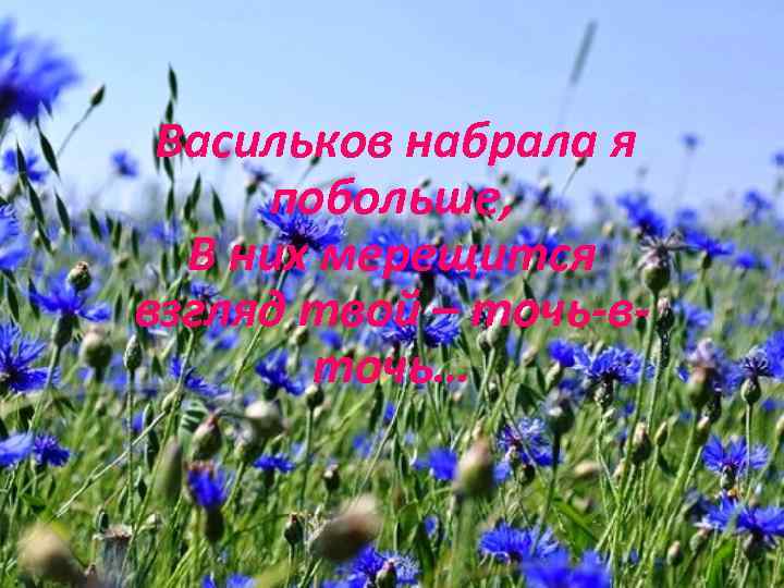  Васильков набрала я побольше, В них мерещится взгляд твой – точь-вточь… 