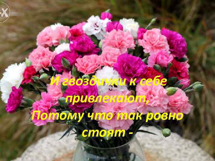  И гвоздички к себе привлекают, Потому что так ровно стоят - 