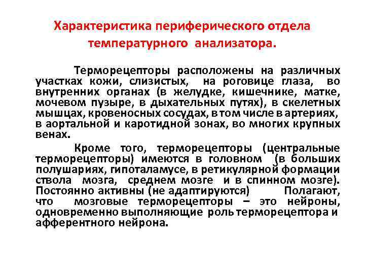 Характеристика периферического отдела температурного анализатора. Терморецепторы расположены на различных участках кожи, слизистых, на роговице