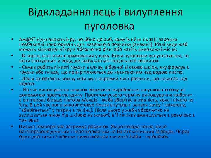 Відкладання яєць і вилуплення пуголовка • • • Амфібії відкладають ікру, подібно до риб,