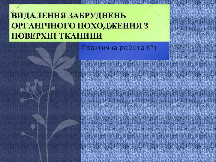 ВИДАЛЕННЯ ЗАБРУДНЕНЬ ОРГАНІЧНОГО ПОХОДЖЕННЯ З ПОВЕРХНІ ТКАНИНИ Практична робота № 1 