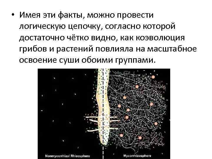  • Имея эти факты, можно провести логическую цепочку, согласно которой достаточно чётко видно,