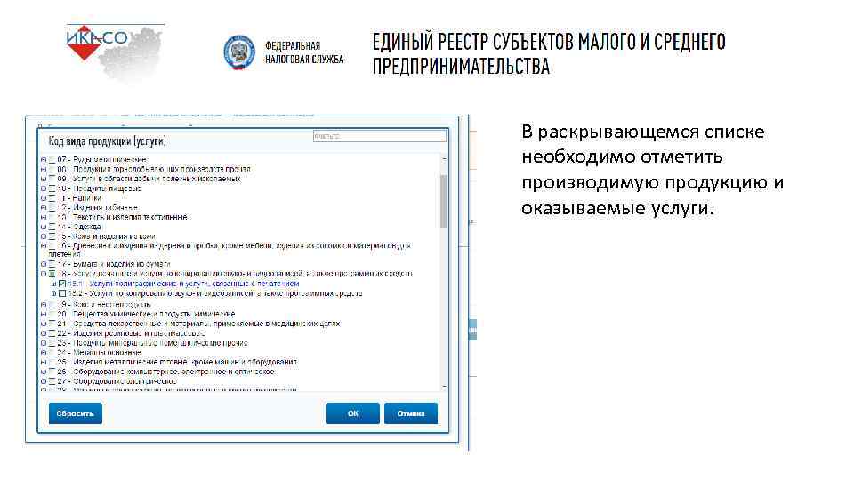 В раскрывающемся списке необходимо отметить производимую продукцию и оказываемые услуги. 