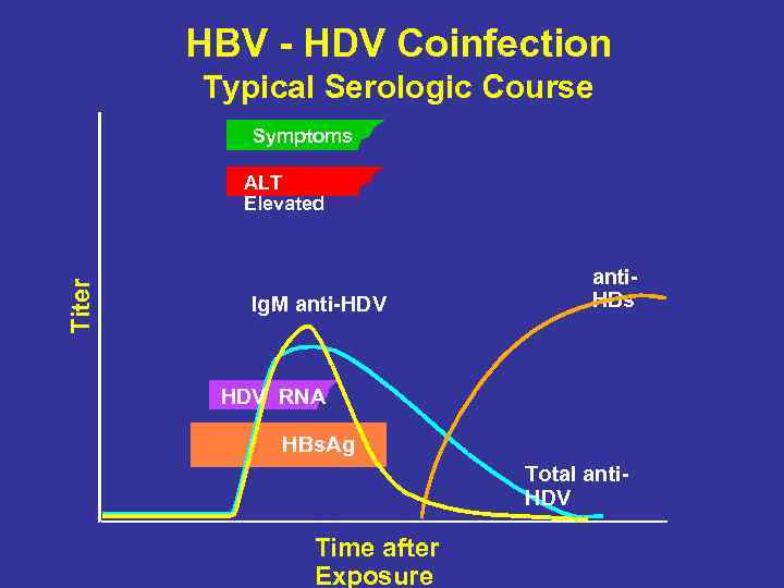 HBV - HDV Coinfection Typical Serologic Course Symptoms Titer ALT Elevated Ig. M anti-HDV